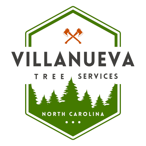 villanueva removebg preview