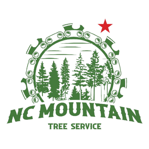 NC Mountain Tree Service